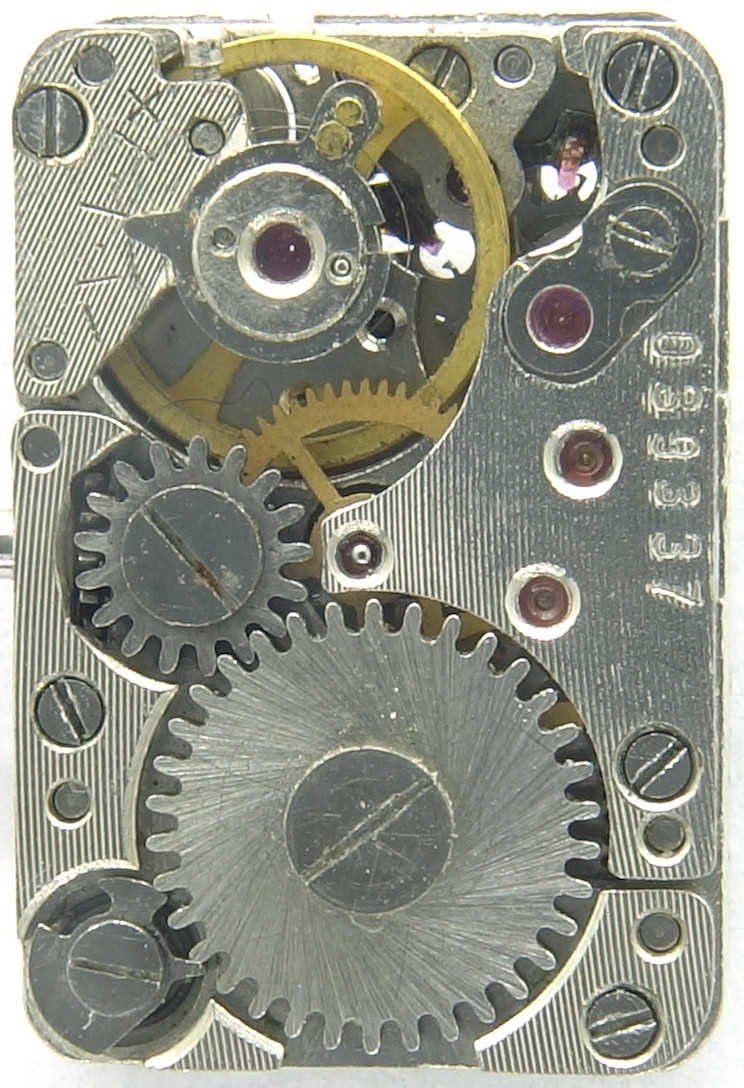 : Chaika 1200